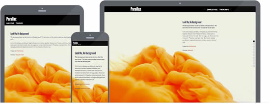 Parallax WordPress Theme